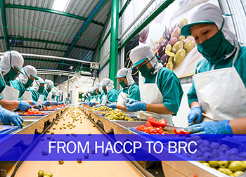 Hướng dẫn Nâng cấp chuyển đổi HACCP sang BRC