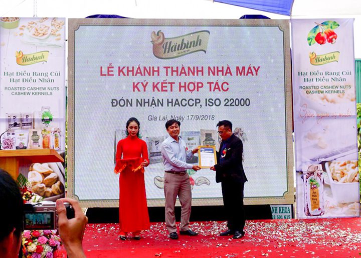 Trung tâm TQC chứng nhận ISO 22000 cho Hạt Điều Hải Bình Gia Lai