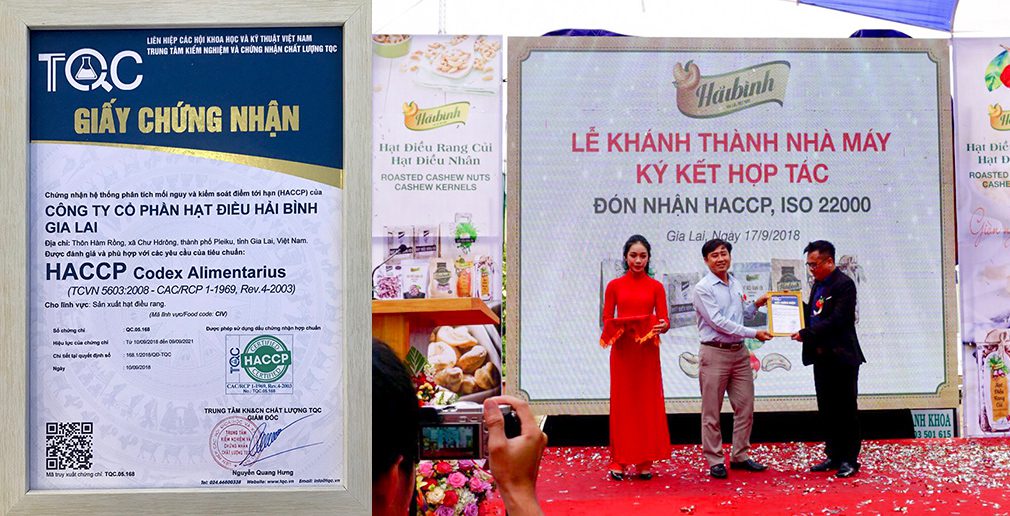 Trung tâm TQC chứng nhận HACCP cho Hạt Điều Hải Bình Gia Lai