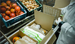 Các hãng vận chuyển thực phẩm, logistics, lưu trữ, bảo quản thực phẩm