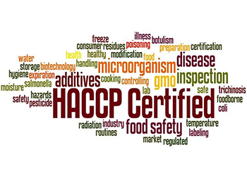 Quy trình chứng nhận HACCP - Hệ thống phân tích mối nguy và kiểm soát điểm tới hạn