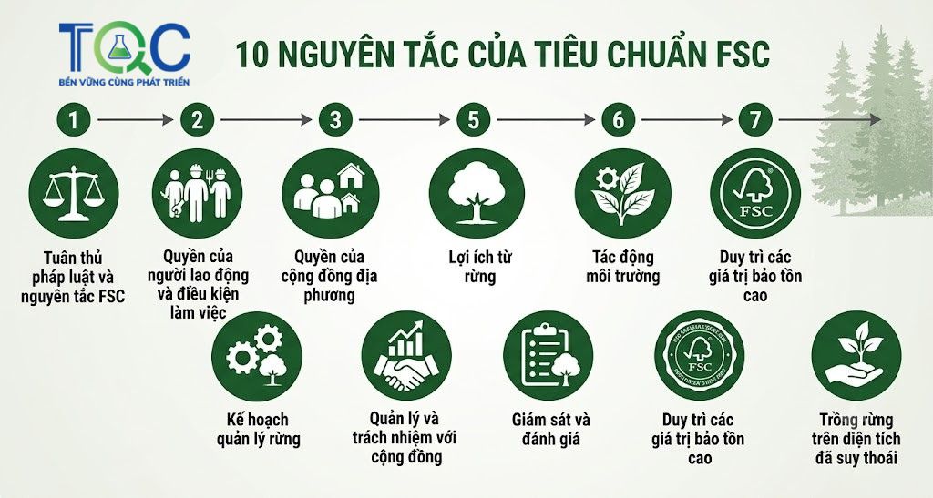 10 Nguyên tắc của tiêu chuẩn FSC