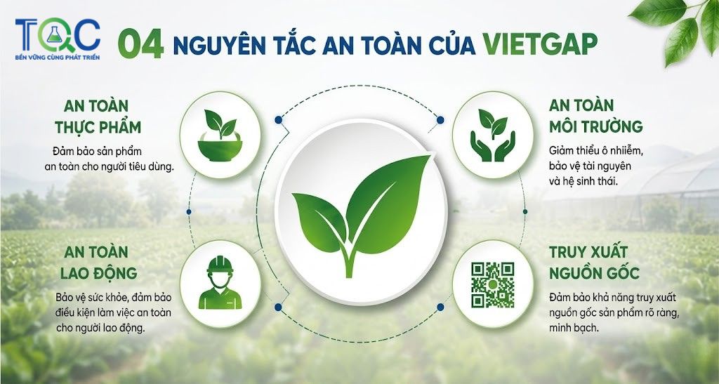 Nguyên tắc chung chứng nhận vietgap trồng trọt