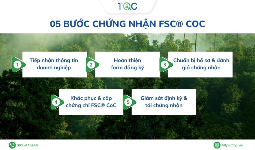 5 bước chứng nhận FSC CoC