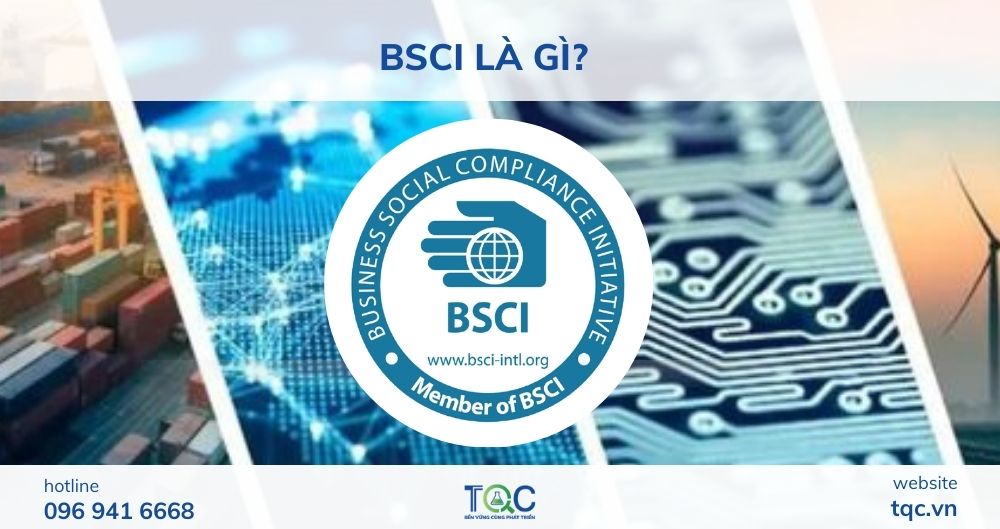BSCI là gì?