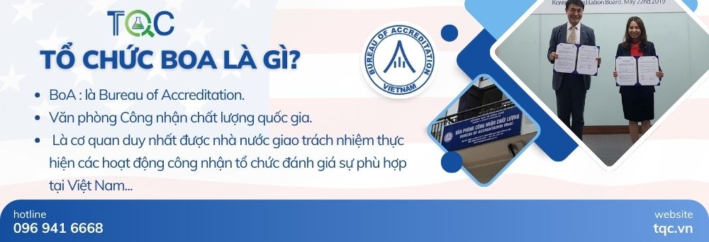 BoA là gì?