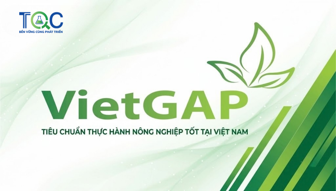 VietGAP là gì? Tiêu chuẩn thực hành nông nghiệp tốt tại Việt Nam