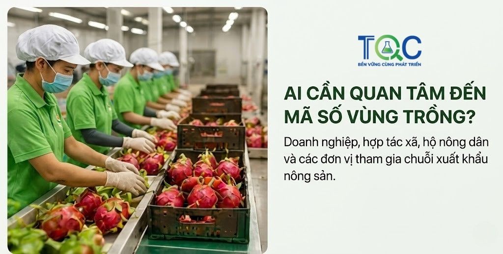 Ai cần quan trâm Mã số vùng trồng