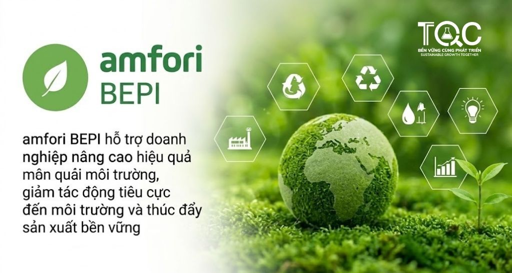 Amfori Bepi là gì?
