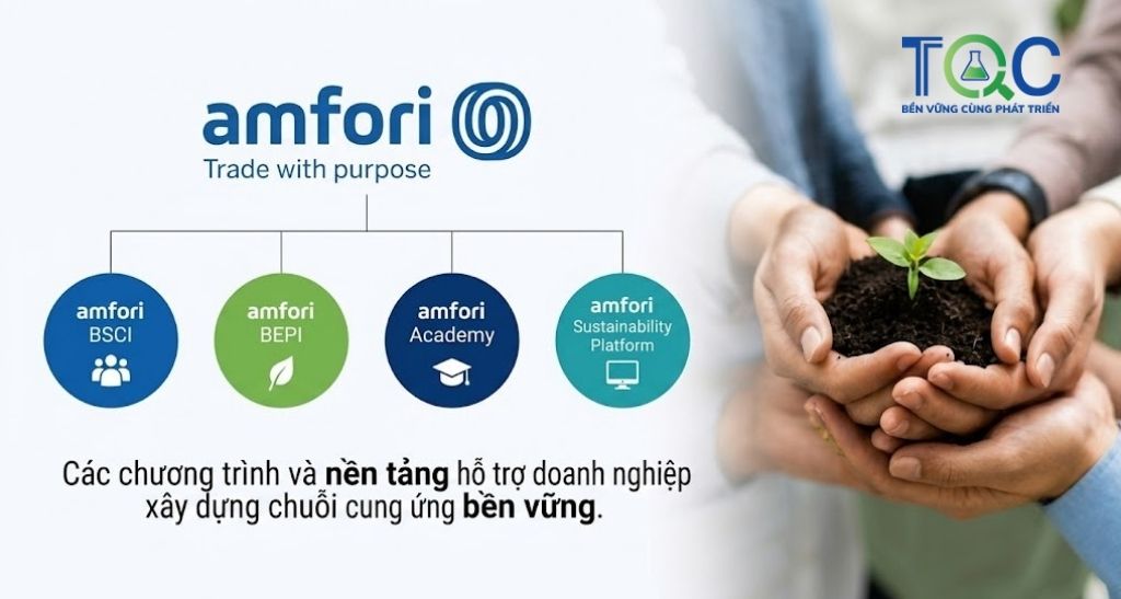 Amfori chương trình