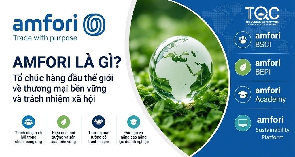 amfori là gì?