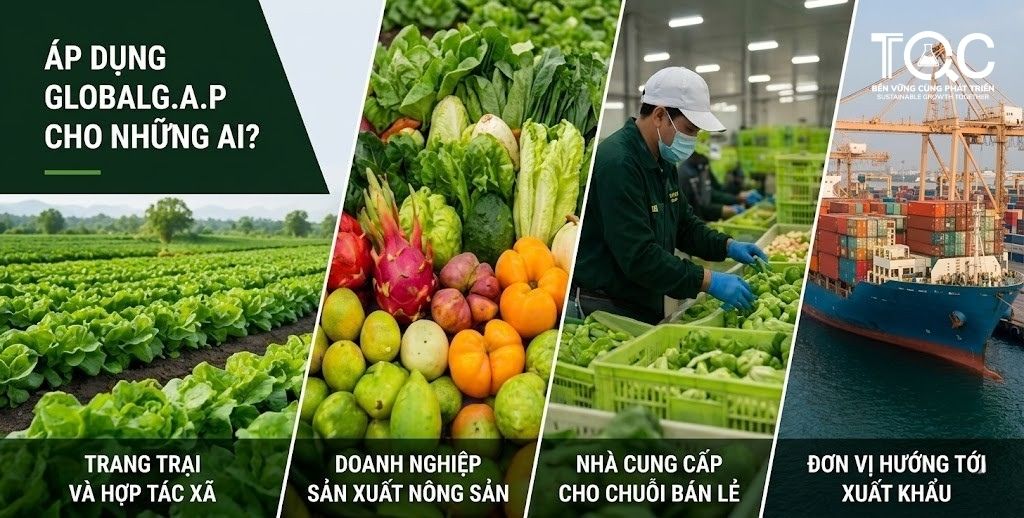 Áp dụng Global Gap cho đối tượng nào