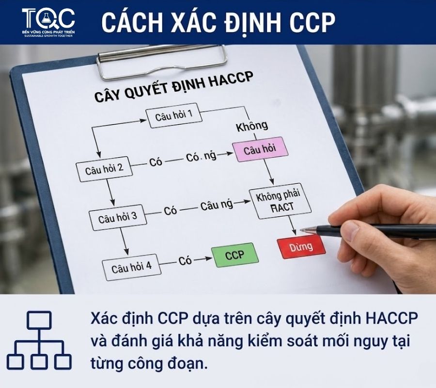 Cách xác địnhh CCP