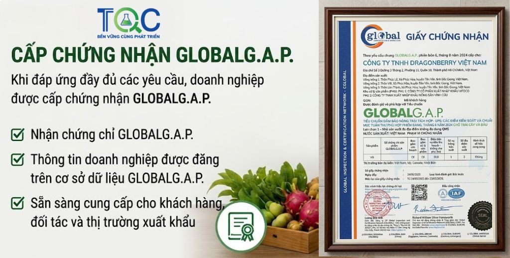 Cấp chứng nhận Global Gap