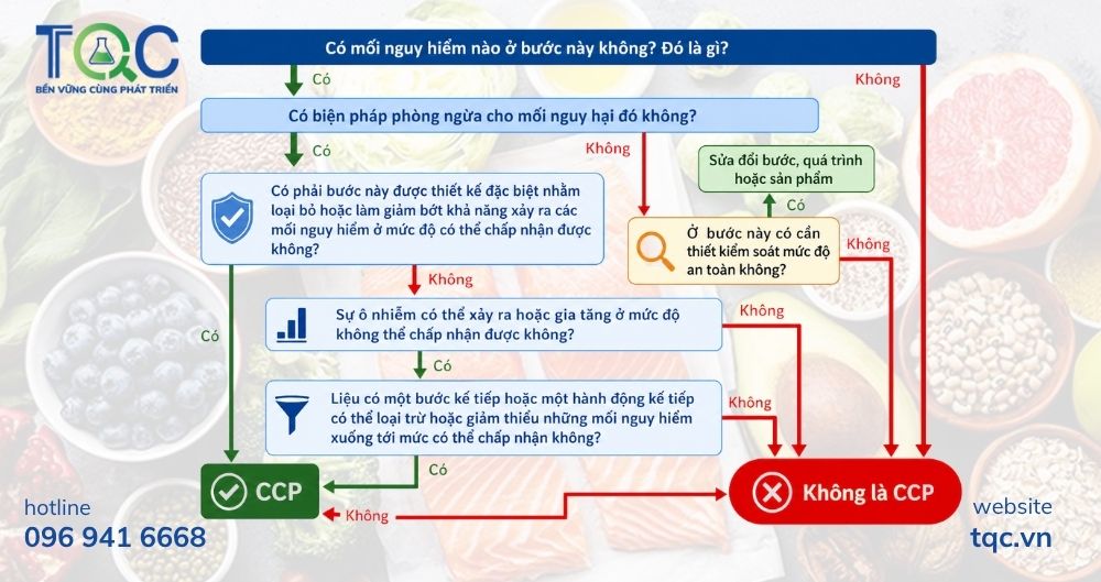 Cây quyết định CCP