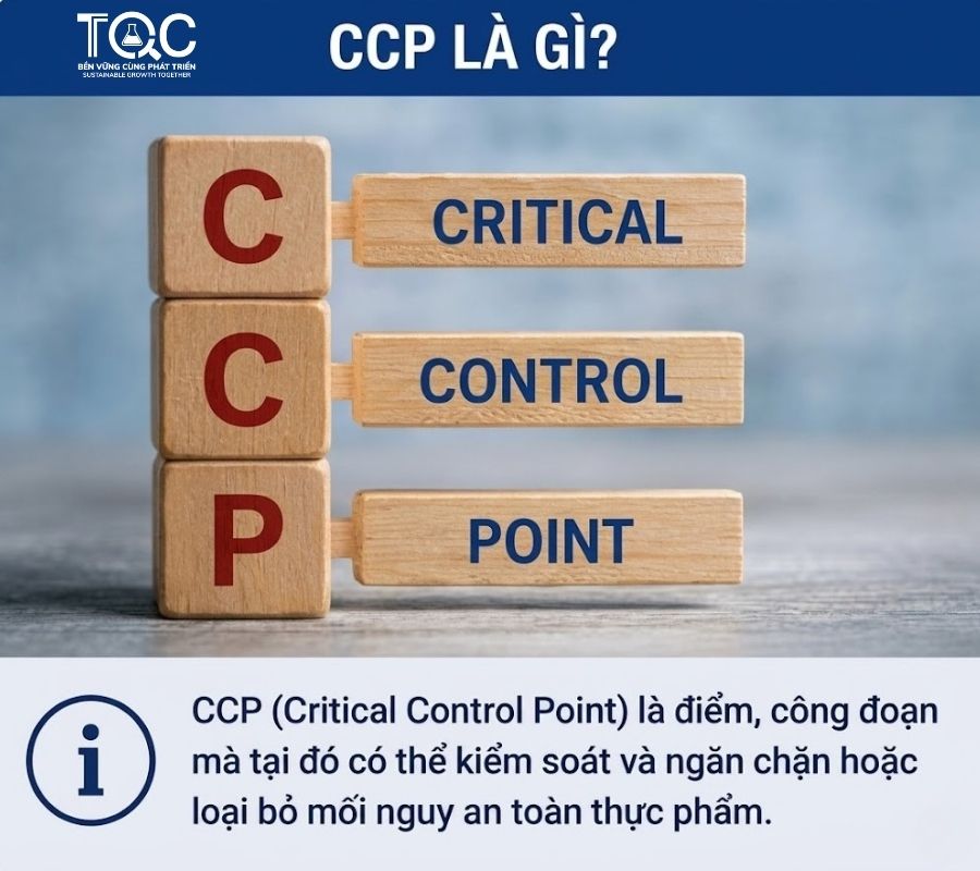 CCP là gì?