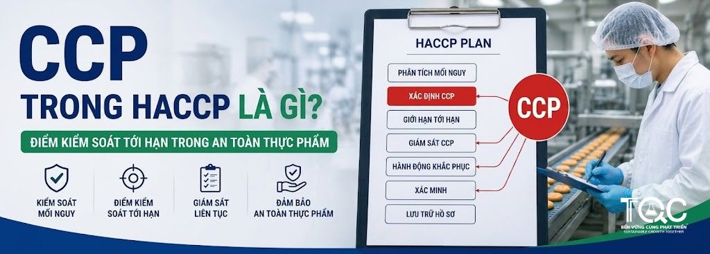 CCP trong HACCP là gì?