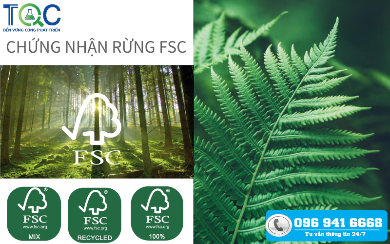 chứng nhận fsc - quản lý rừng năm 2022 | TQC