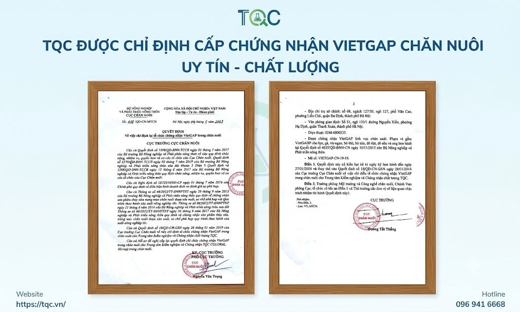 Chứng nhận Vietgap Chăn Nuôi tại TQC CLGOBAL