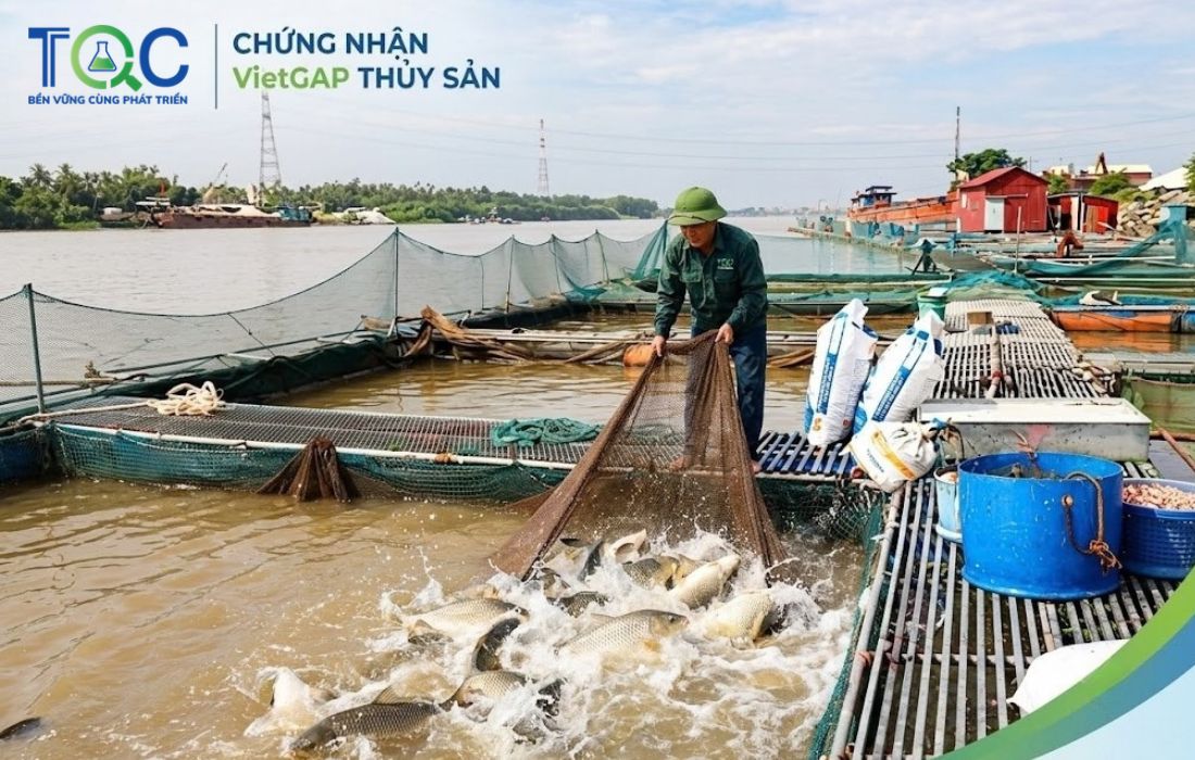 Chứng nhận Vietgap Thủy Sản