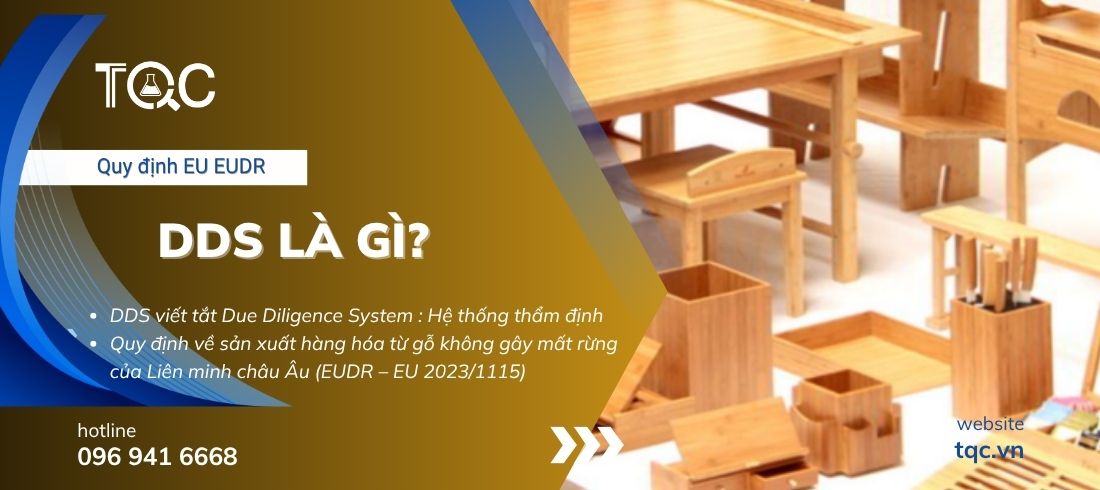 DDS là gì