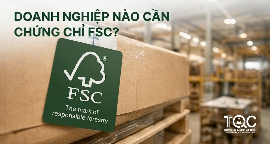 Doanh nghiệp nào cần chứng chỉ FSC?