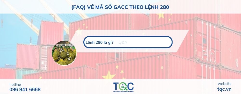 Một số câu hỏi về lệnh 280