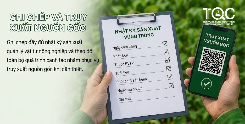 Ghi chép truy xuất nguồn gốc