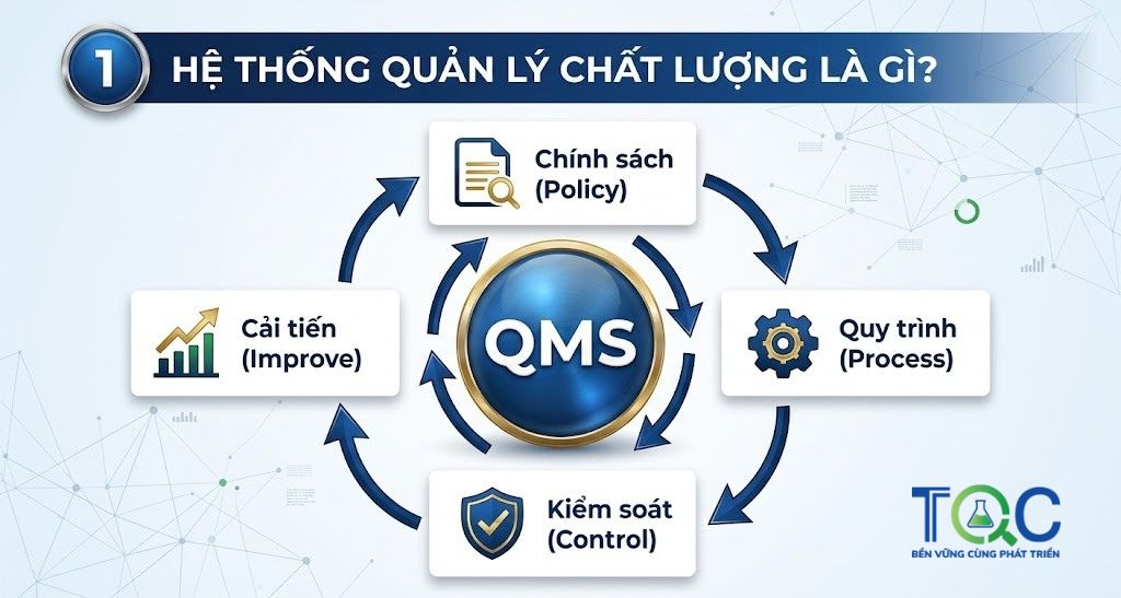 Hệ thống quản lý chất lượng là gì? (QMS là gì?)