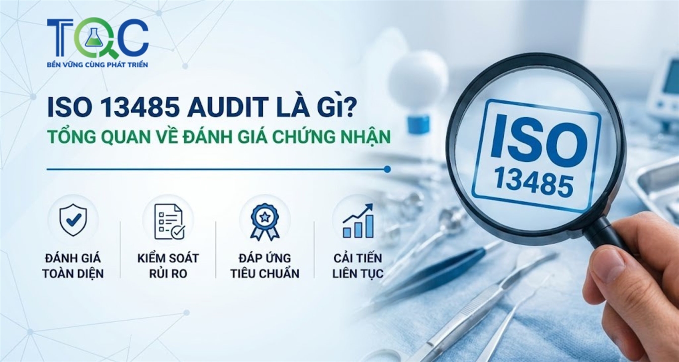 ISO 13485 audit tổng quan