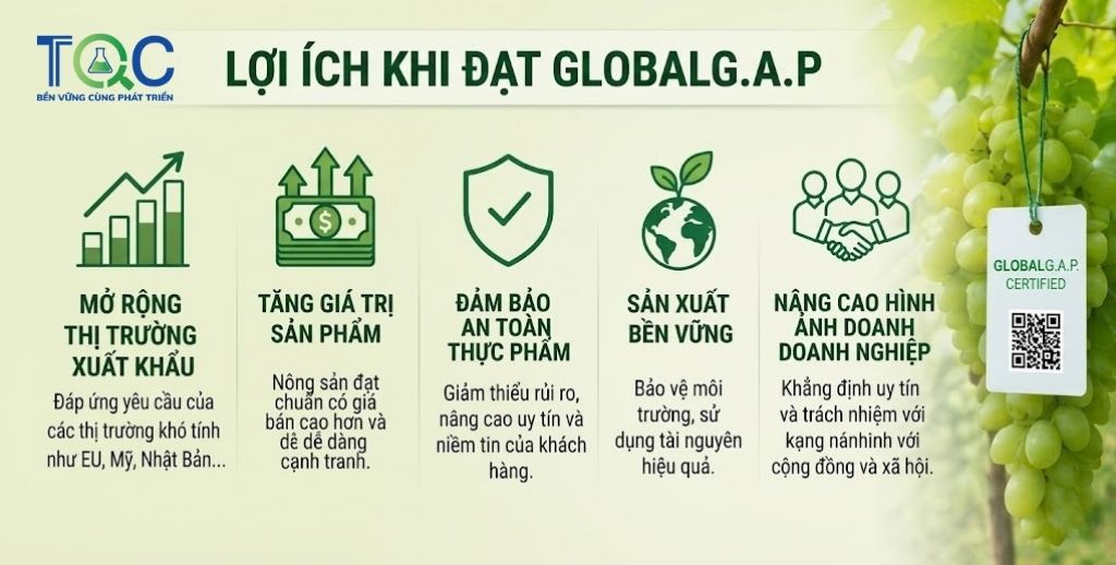 Lợi ích khi đạt chứng nhận Global Gap
