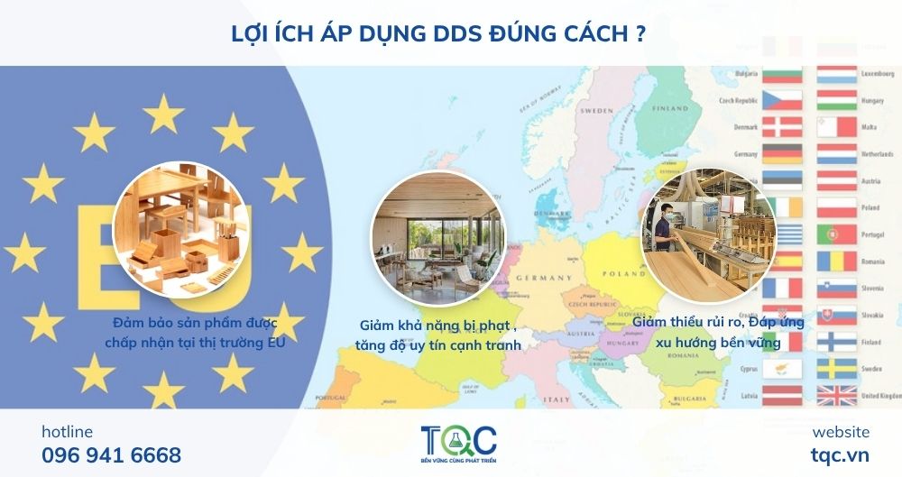 Lợi ích DDS là gì