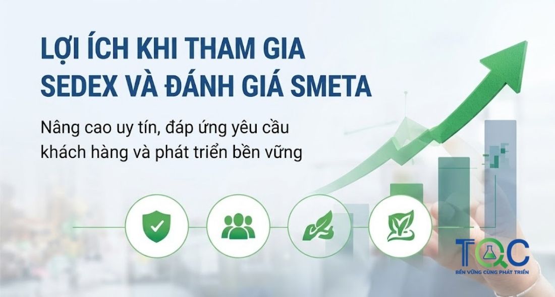 Lợi ích khi tham gia sedex, đánh giá smeta