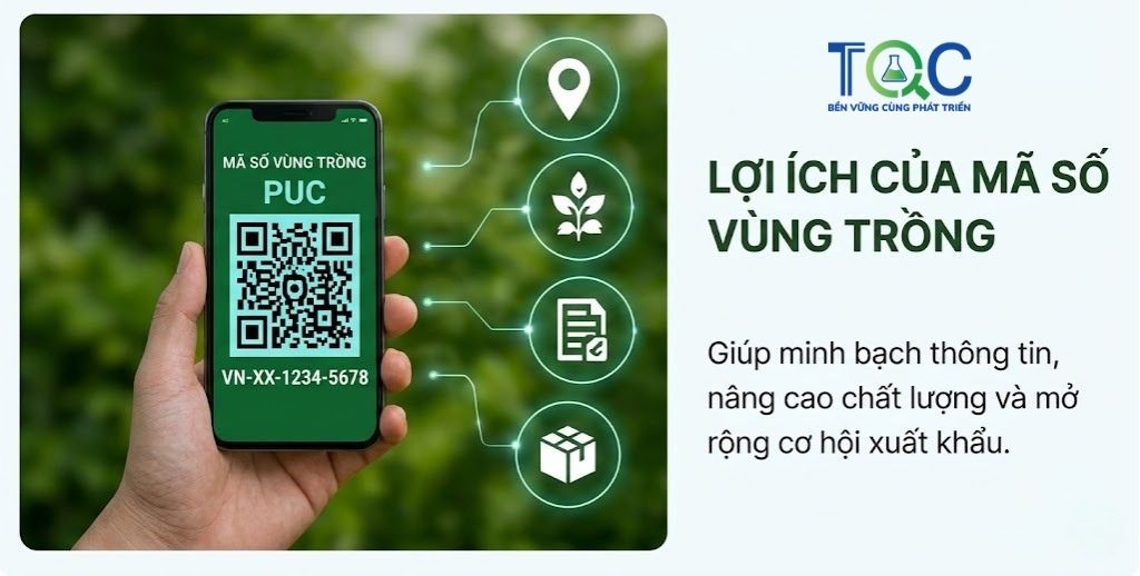 Lợi ích Mã số vùng trồng