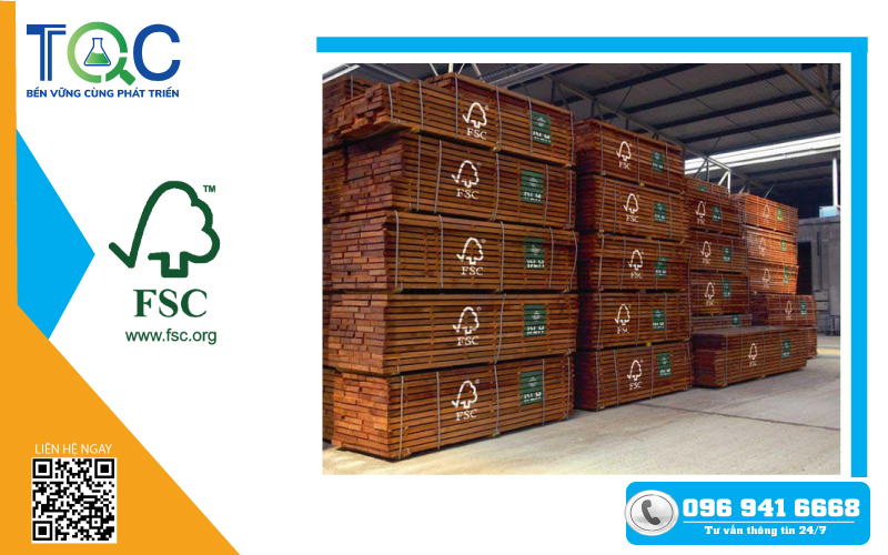 Chứng nhận FSC - Quản lý rừng 2022 | TQC