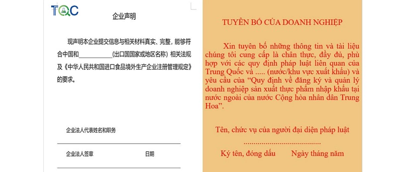 Tư vấn đăng ký Mã IRE năm 2022 | TQC -4