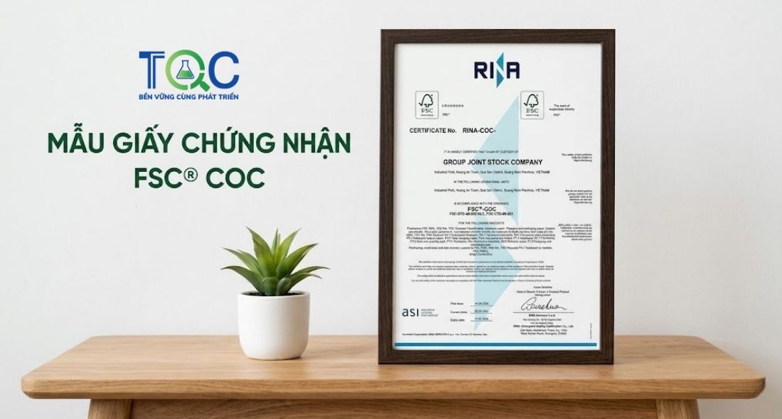 Mẫu giấy chứng nhận FSC® CoC