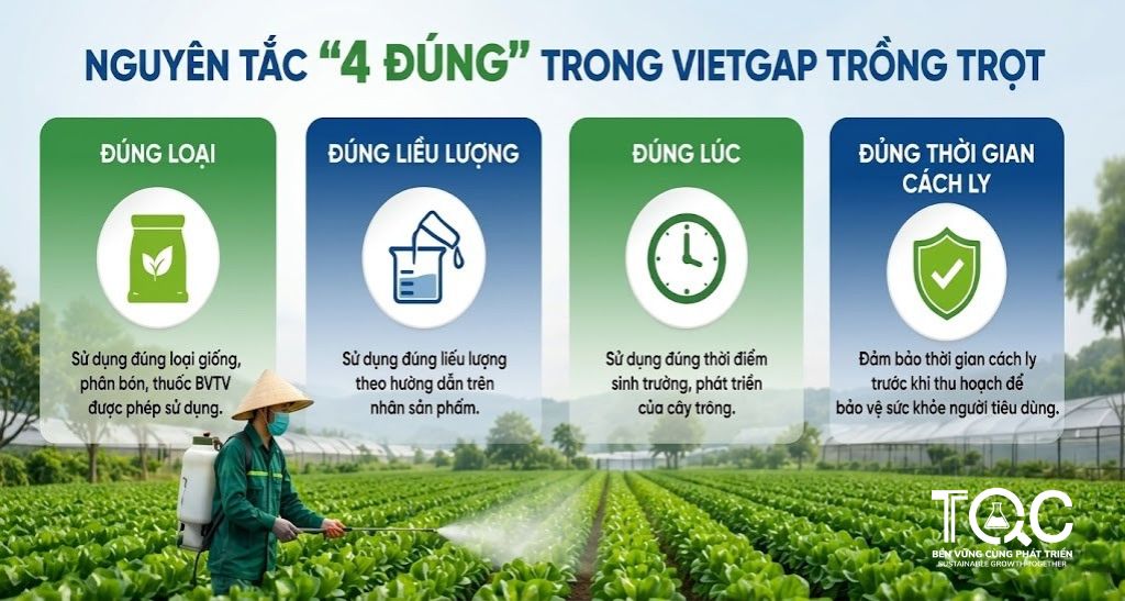 Nguyên tắc trong Chứng nhận Vietgap Trồng Trọt