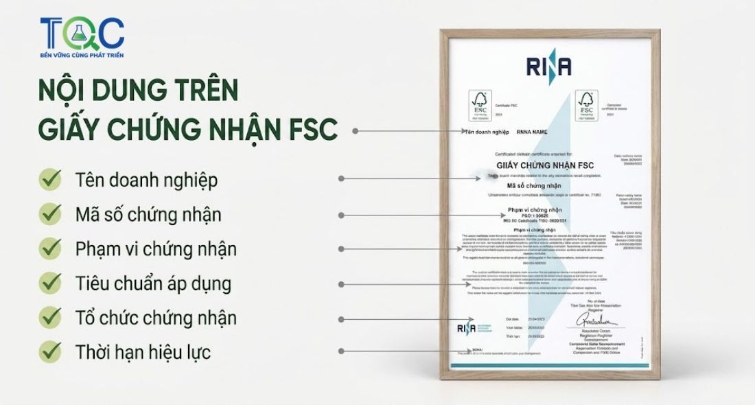 Mẫu giấy chứng nhận FSC có những gì?