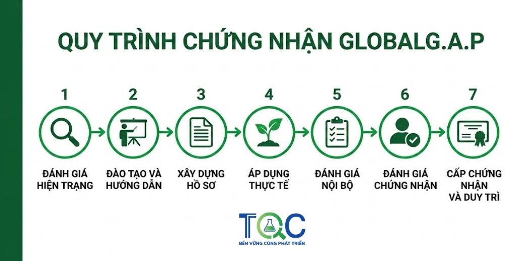 Quy trình chứng nhận Global G.A.P
