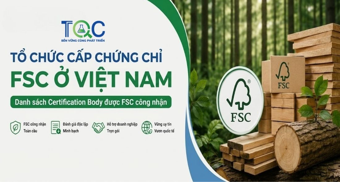 Tổ chức cấp chứng chỉ FSC ở Việt Nam là ai?