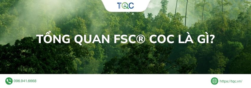 Tổng quan FSC COC là gì