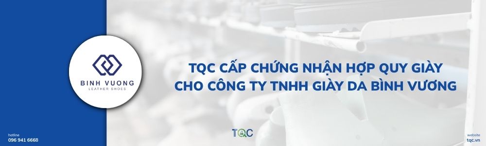 Công ty TNHH Giày Da Bình Vương