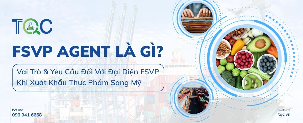 FSVP Agent là gì? Vai trò yêu cầu với đại diện FSVP