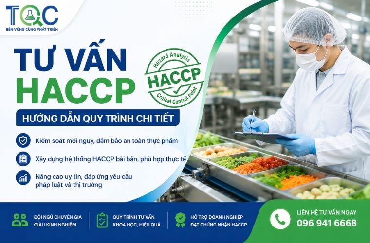 Tư vấn HACCP | Quy trình chi tiết