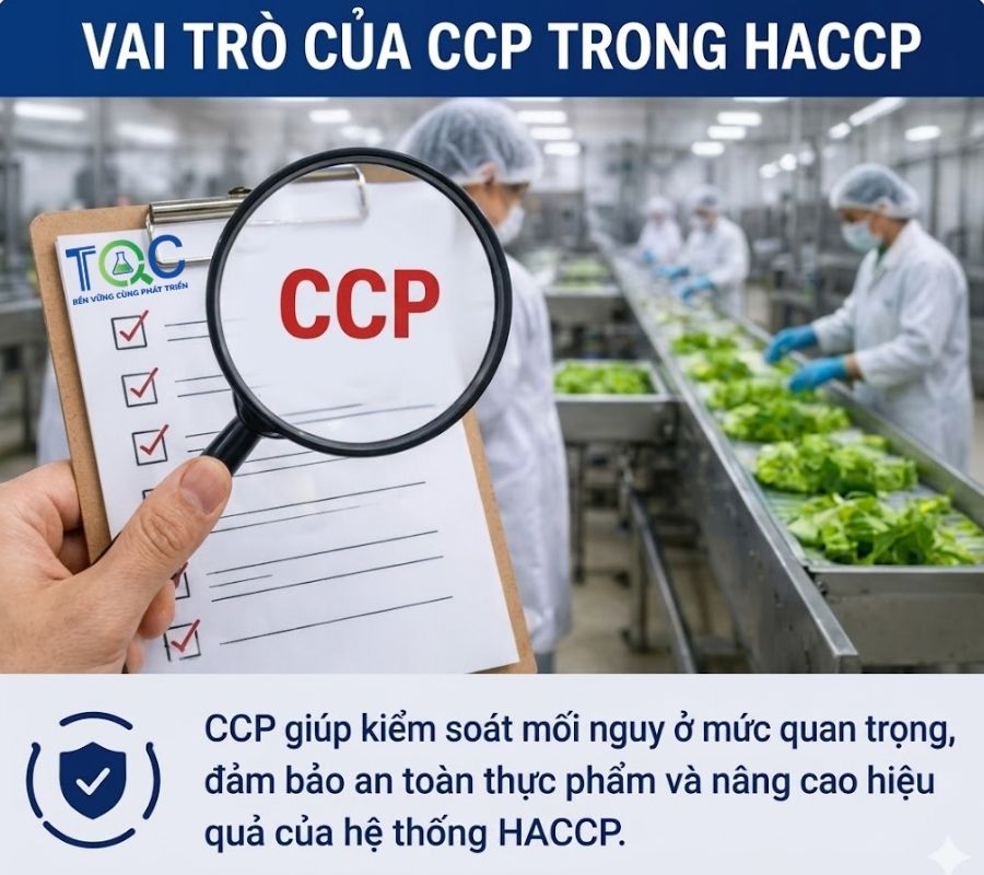 Vai trò của CCP trong HACCP