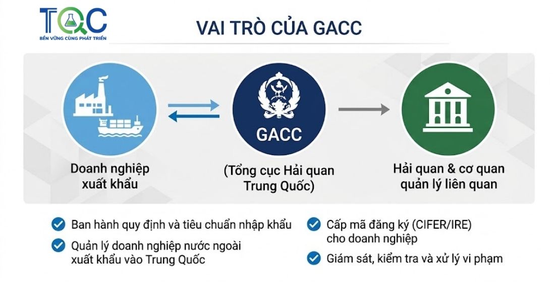 Vai trò của GACC