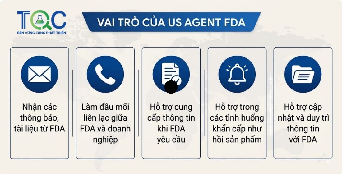 Vai trò US Agent FDA là gì