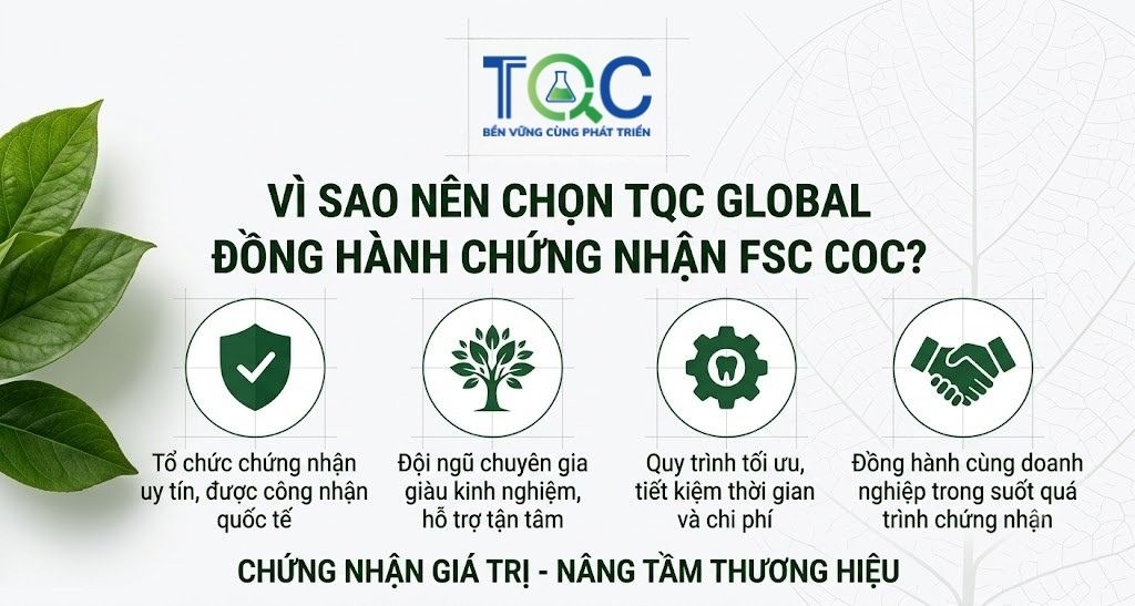 Vì sao nên chọn TQC CGLOBAL làm chứng nhận FSC CoC