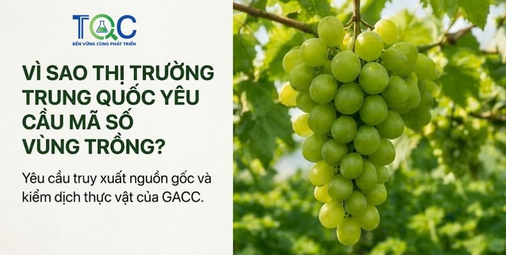 Vì sao thị trường Trung Quốc yêu cầu Mã số vùng trồng